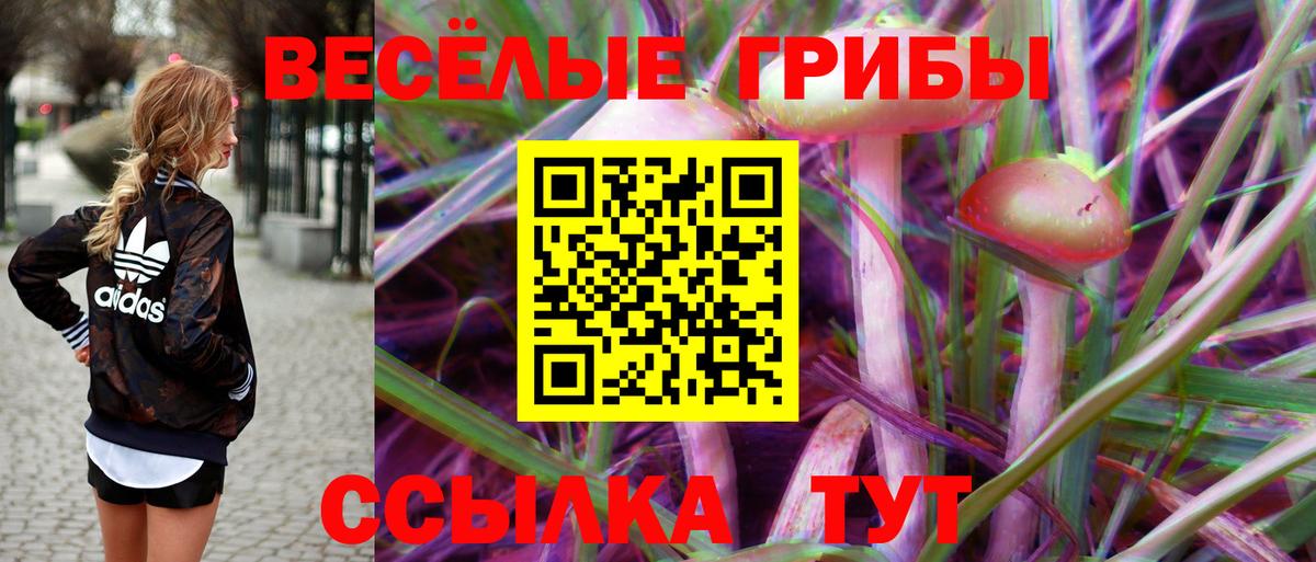 Ливны  Галлюциногенные грибы Psilocybine cubensis  Вход с VPN 